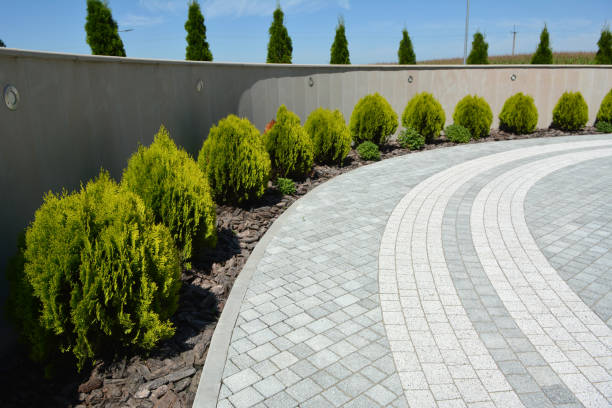 Best Commercial Driveway Pavers  in Pacolet, SC